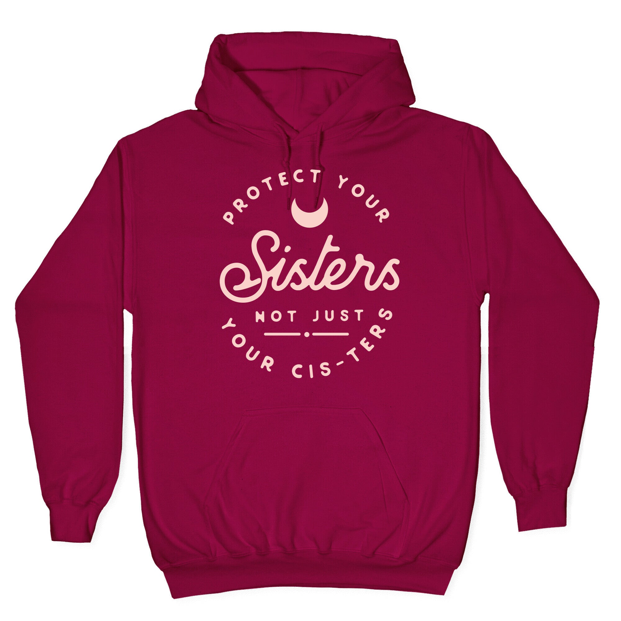 Protect Your Sisters NOt Just YOur Cis-ters Hoodie